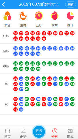 新澳门六开彩今晚开奖,词语释义解释落实